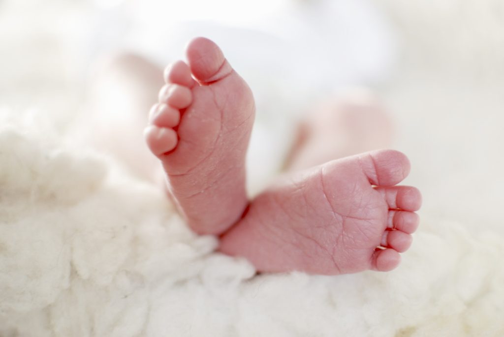 Small toes on wool